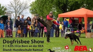 DiscDog Show Discdog-Ostschwiiz BEA by Alen Soldic 2,951 views 9 years ago 3 minutes, 37 seconds