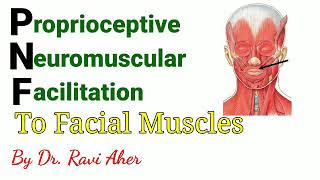 Discover the Power of PNF: Facial Muscles Irradiation