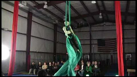 The Night Owl Circus