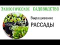 Выращивание РАССАДЫ от А до Я. Видеолекция