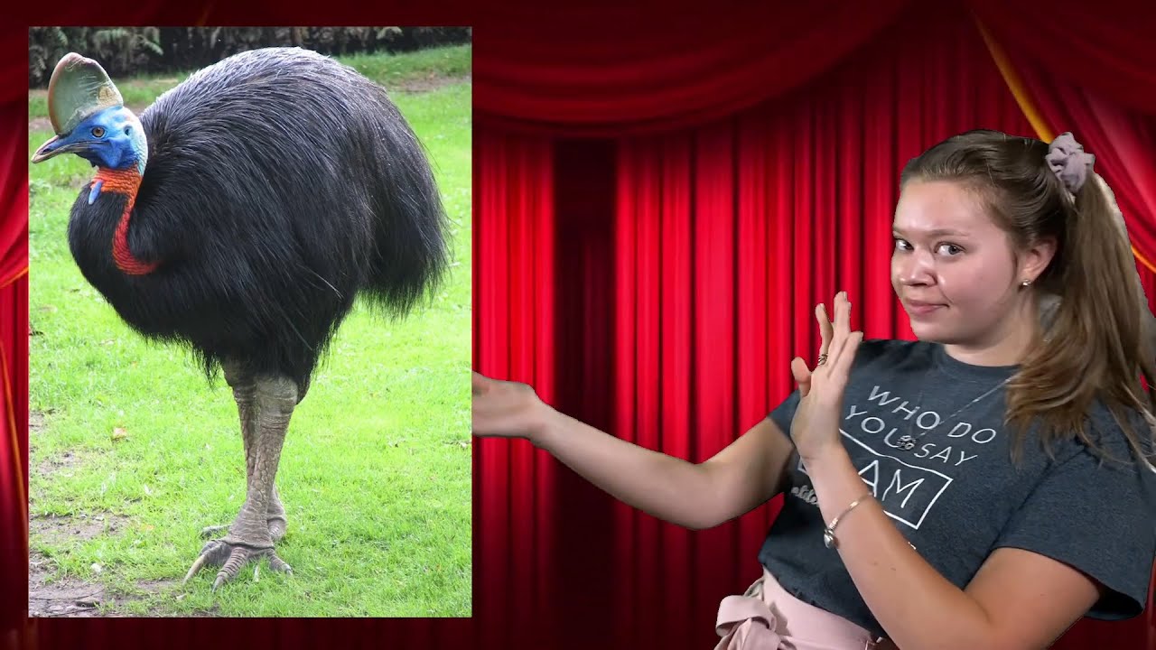 What is God's greatest creation?!? - YouTube