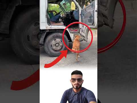 لم يتركهم رغم إعاقتهم لأن الرحمة لا تنظر إلى الشكل بل إلى القلب لايك متابعه ترند 
