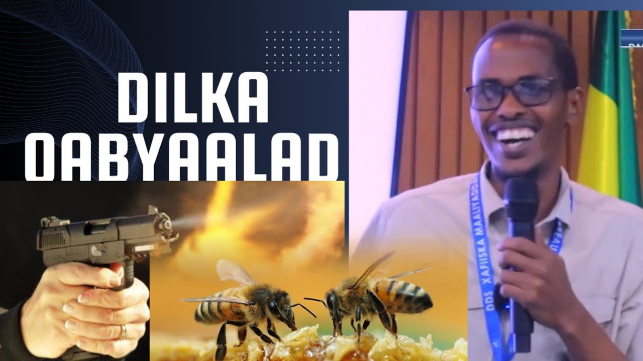 DAAWO USTAAD WASIIR MUXIYADIIN CASHARO IYO XIKMADO CUSUB 