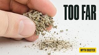 Your Buds Crumble to Dust You Didn't Dry Too Fast