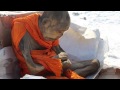 Old Mummified Buddhist Monk 