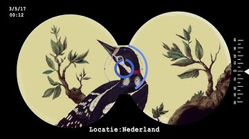 Portretten uit Het heel grote vogelboek