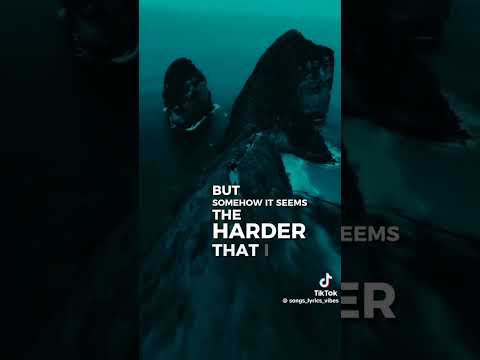 Mocking Bird Bts Purpleubts Lovebtsarmybts Purplefan