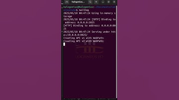 Send Emails with #python ! (MailHog Testing Included) 🚀 #shorts #coding