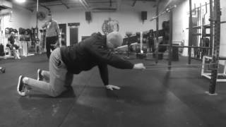 Quadruped 1 Arm Latt Pulldown