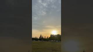 #park#walking#windy#happy#music#asmr#tree