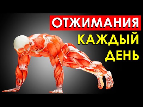 Что Будет с Телом, Если Отжиматься Каждый День