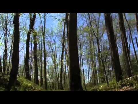 حكايات الامثال خفى حنين