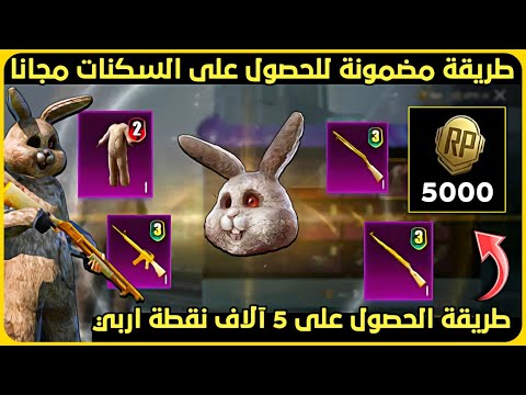 فيديو: كيفية إطعام الحلزون: 5 خطوات (بالصور)