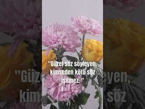 Sözün Güzelini Söylesinler Firdevsi Anlamlısözler Güzelsözler