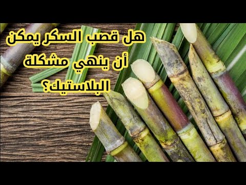هل يمكن لقصب السكر أن ينهي مشكل البلاستيك