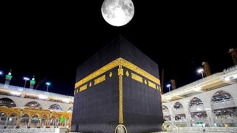 سورة المزمل - وَاذْكُرِ اسْمَ رَبِّكَ وَتَبَتَّلْ إِلَيْهِ تَبْتِيلًا (8)#الذكرى