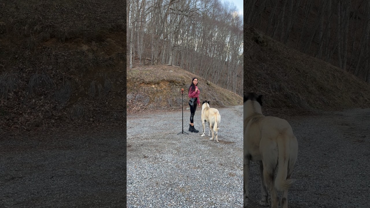 Biggest Dog. 4 month old and  already 200 pounds