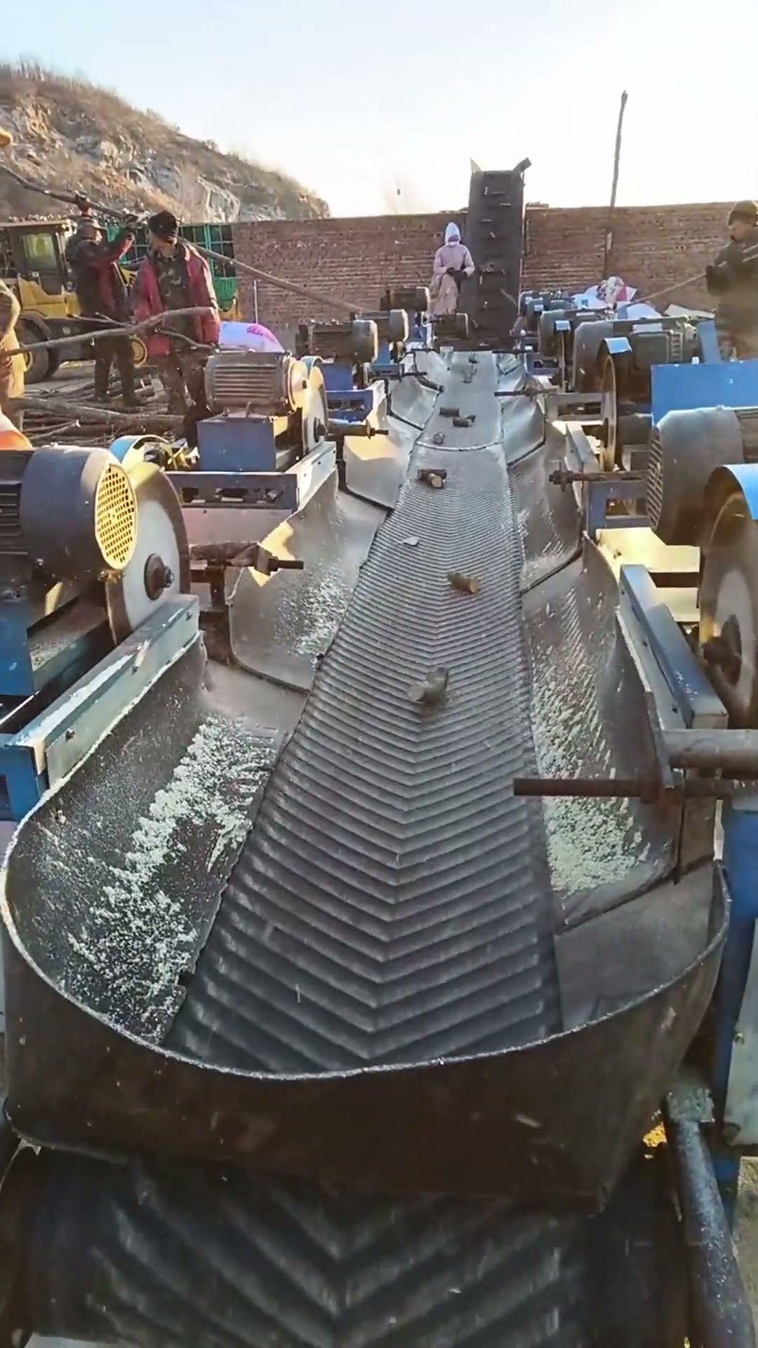 Ganoderma cutting process- Good tools and machinery make work easy