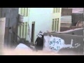 شهركان المرتزقة تعيث الفساد في البلدة 