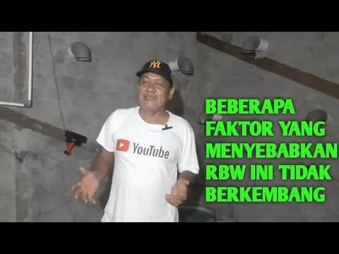 Video: Berapakah umur Black Elk apabila dia mempunyai penglihatan yang hebat?