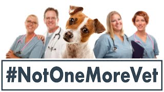 #NotOneMoreVet Movement by Dr. Judy Morgan’s Naturally Healthy Pets 1,384 views 1 day ago 12 minutes, 19 seconds