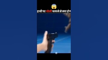 What if you shot  An elephant 😱 #shorts #facts  #short