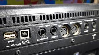 Korg pa 600 pedal des pake pedal sustain,seting pad dan tips