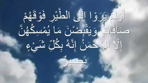 الشيخ محمد ربيع سورة الملك