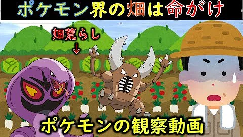 ポケモンの農業 総集編