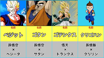 ドラゴンボール合体