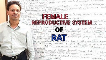 Female Reproductive System of Rat(Rattus Rattus) | For IAS,NEET,GATE,NET and BSc