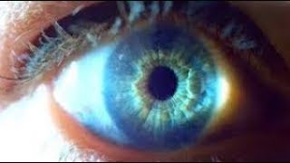 ФАНТАСТИКА Со смыслом ФАНТАСТИКА Со смыслом