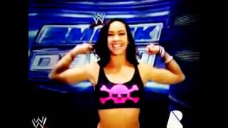 Aj lee and cm punk hot