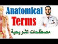 Anatomical Terminology || مقدمة عن علم التشريح - المصطلحات التشريحية || (M1000) || [3]