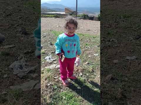 الكبرى حمار هجم على هيڤين لابوه الشريره