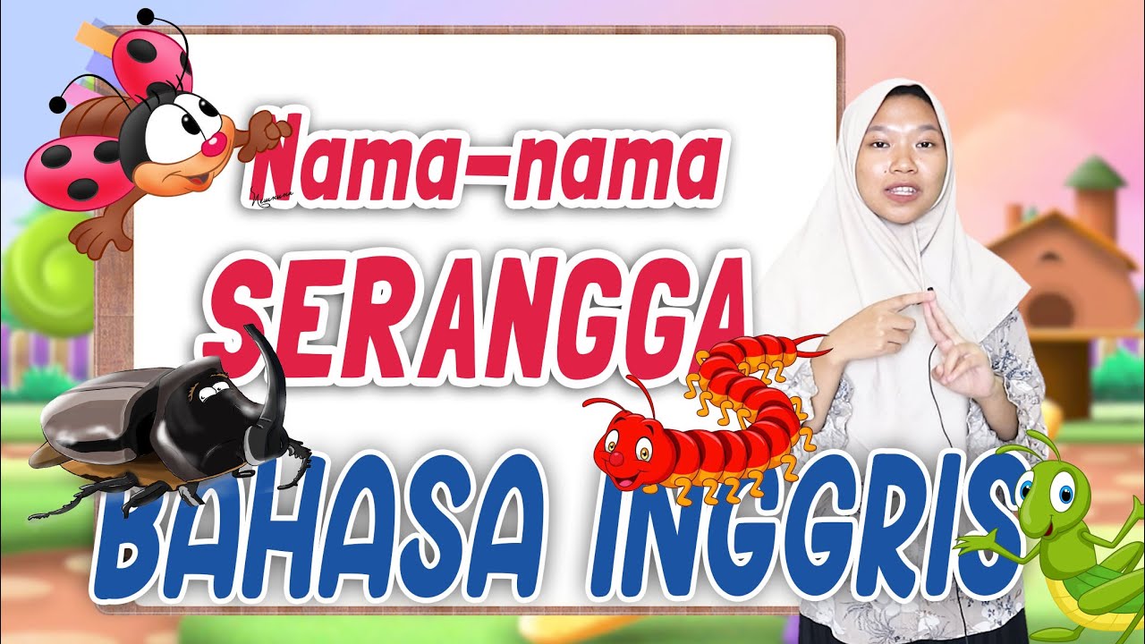 NAMA-NAMA SERANGGA DALAM BAHASA INGGRIS