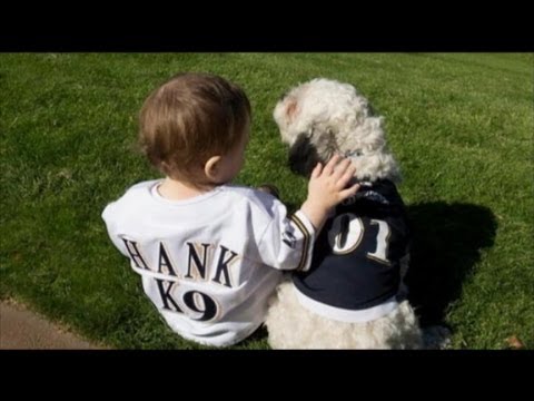 Βίντεο: Το Stray Dog γίνεται ανεπίσημη μασκότ για το Milwaukee Brewers