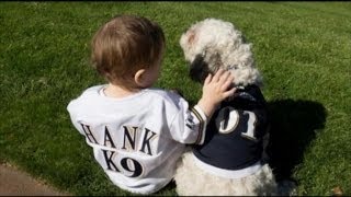 MLB Fans Rally Behind Milwaukee Brewers' Mascot Dog