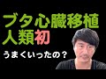 【心臓移植】ヒトはブタの心臓で生きられるか？