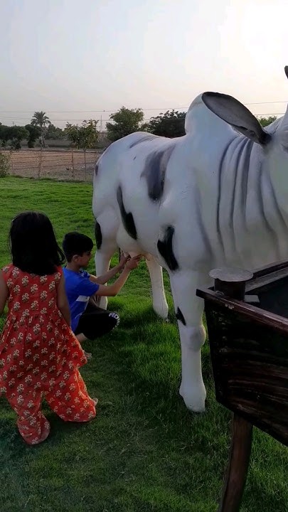 bareera-and-zohan-need-cow-milk-enjoying-journey-yt-short-like