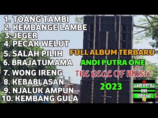 FULL ALBUM TERBARU ANDI PUTRA ONE 2023 || TOANG TAMBI class=