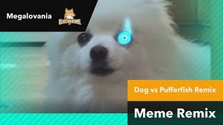 Dog vs Pufferfish Remix Megalovania Style