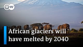 UN: Climate change will melt all glaciers in Africa in next 20 years | DW News