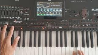 Korg Style Music - Italo Disco (Danekoo1 & Korg Pa4x ) 2023