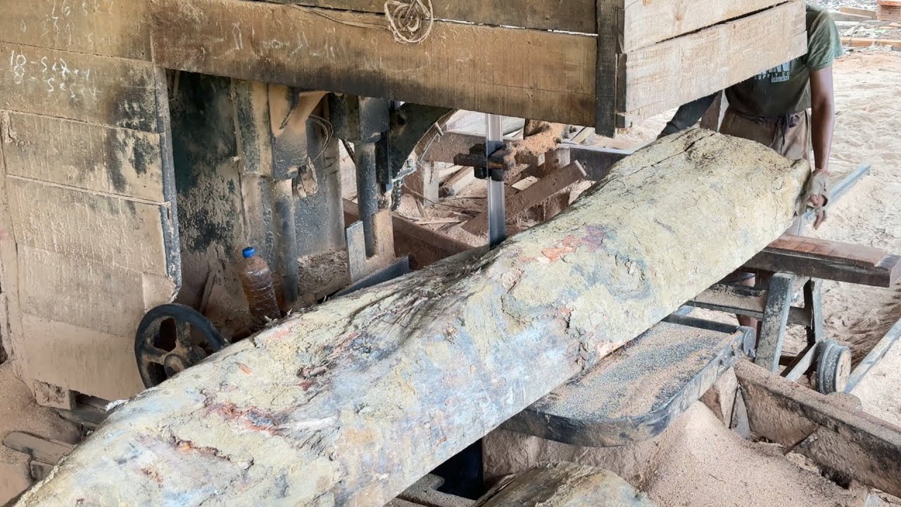 Mastery of Precision Sawmilling Techniques from Expert Operators