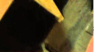 IMG 9469