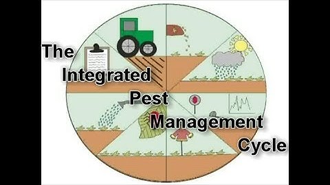 Integrated Pest Management Cycle (IPM) for A-level