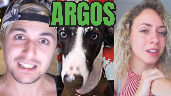 Desmontando a Dalas Review: La diferente historia de Argos, el perro de Dalas Review y Miare