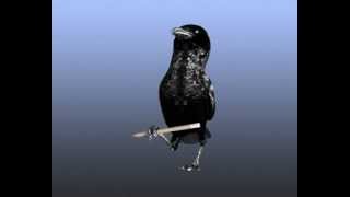 Crow Animation_1