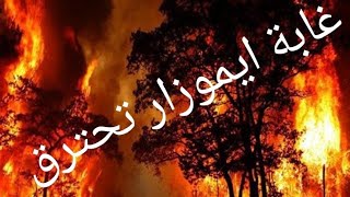 حريق خطير و مروع بضاية ايفر و ضاية عوا ضواحي ايموزار كندر  ♨️♨️♨️♨️♨️♨️♨️